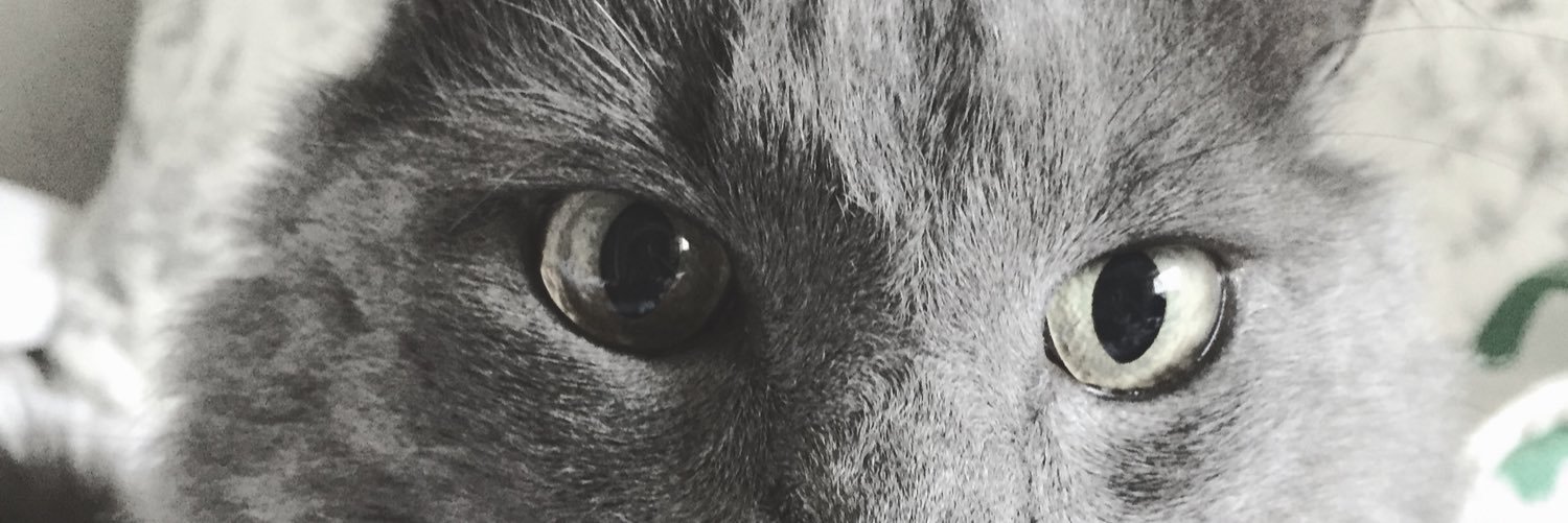 Salvi_Sp's profile banner image