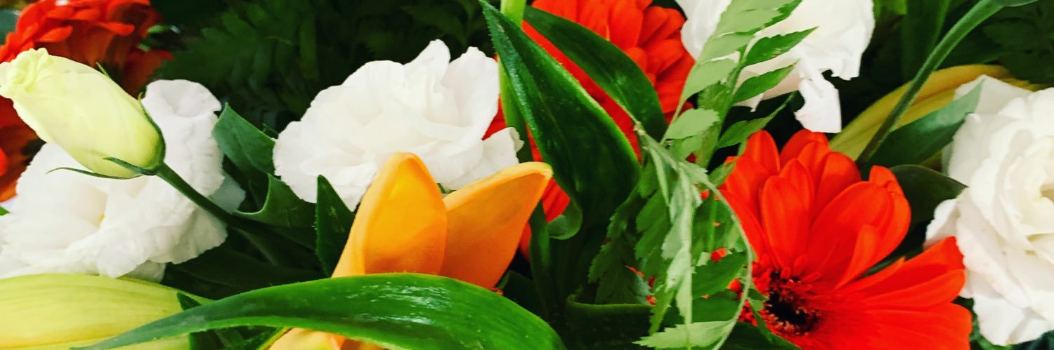 ADCollections1's profile banner image