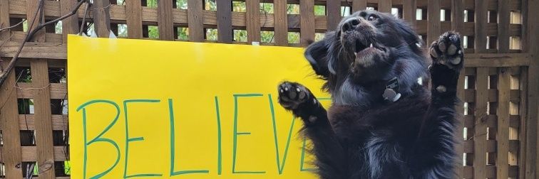 fieldswithanf's profile banner image