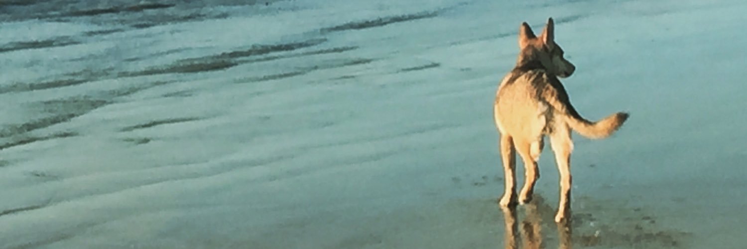 Access_Aku's profile banner image
