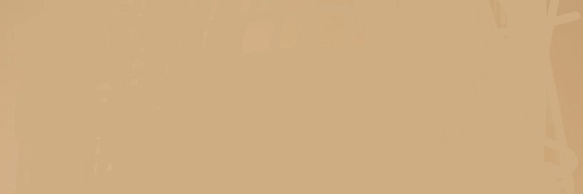 MEEK-VALENTINE banner