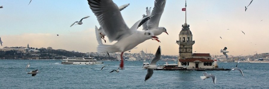 ay_ce0816's profile banner image