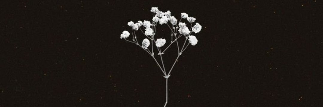ecemmmh's profile banner image