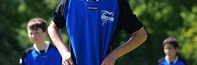 ElsteadSharks's profile banner image