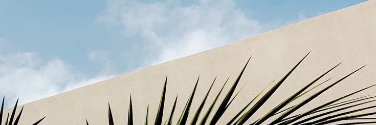 menina_lee's profile banner image