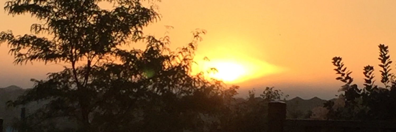 SLew8138's profile banner image