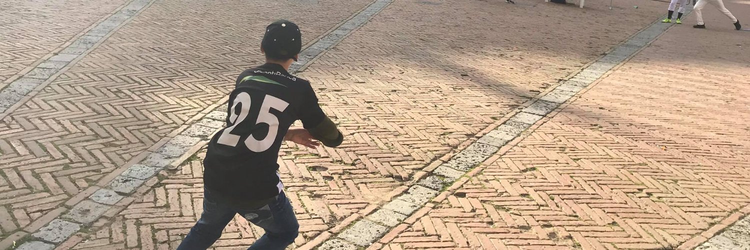 Siena_Baseball's profile banner image