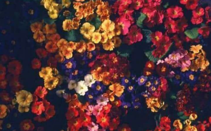 Nadasayed5833's profile banner image