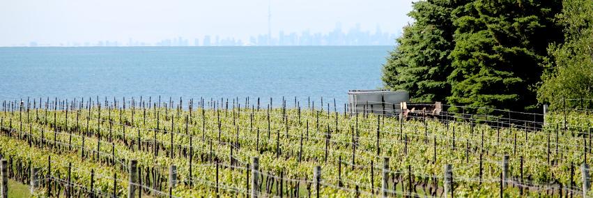NiagaraWTG's profile banner image