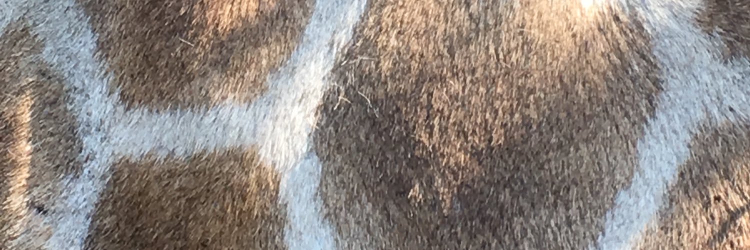 grantchirps's profile banner image