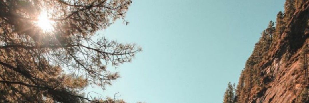 dewimarrrr's profile banner image