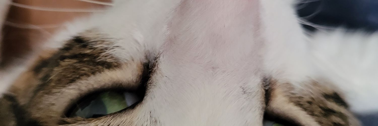 freckred's profile banner image