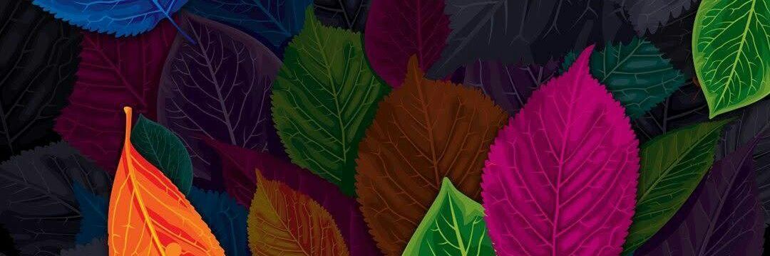 Tabylea89's profile banner image