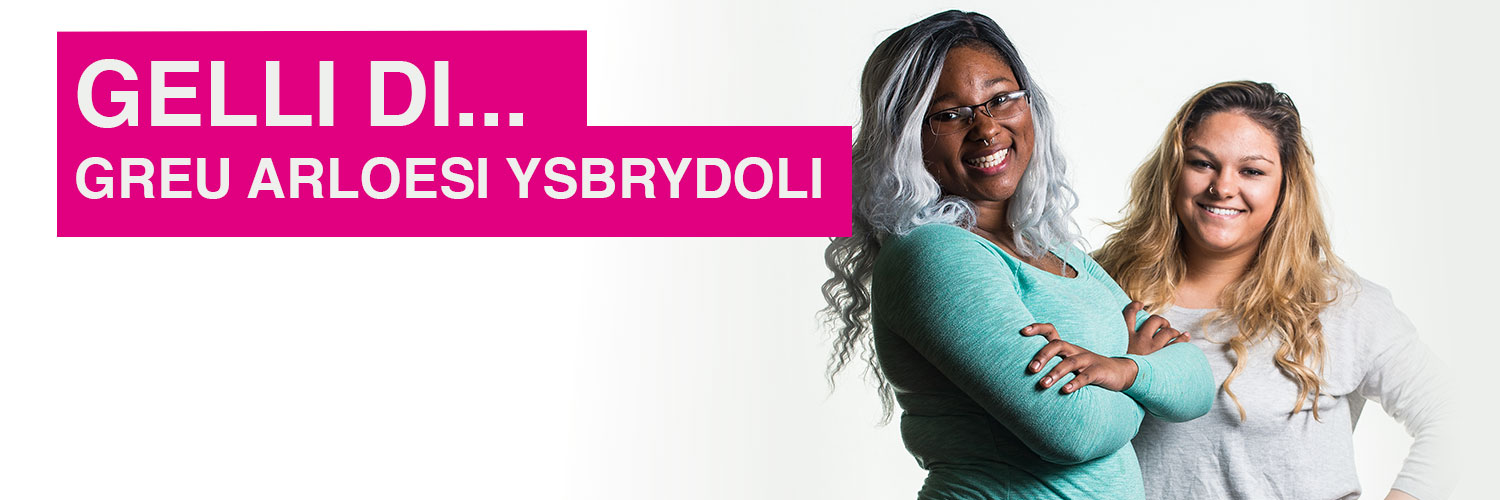 Astudio yn YDDS banner