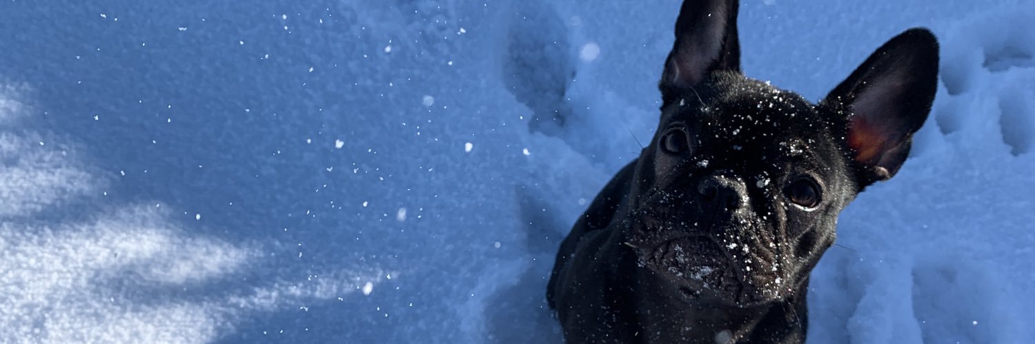 ggglash's profile banner image