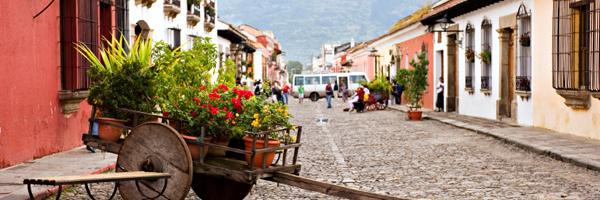 lucy_quinteros's profile banner image