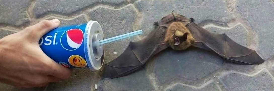 guudetamai's profile banner image