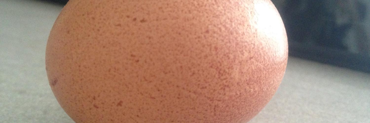 payforperfect's profile banner image
