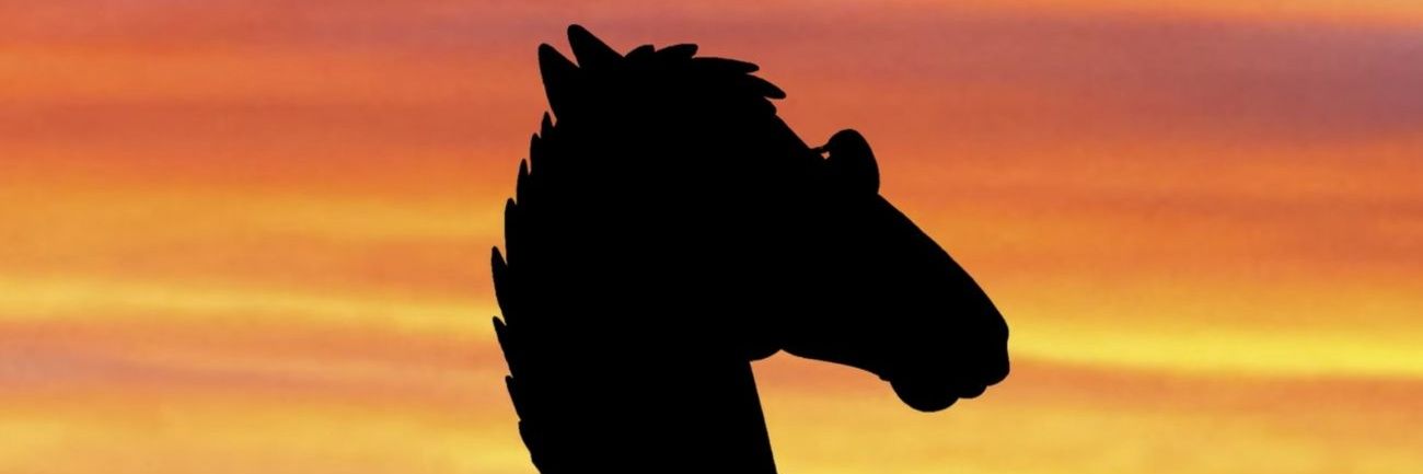 SooyNicoo's profile banner image