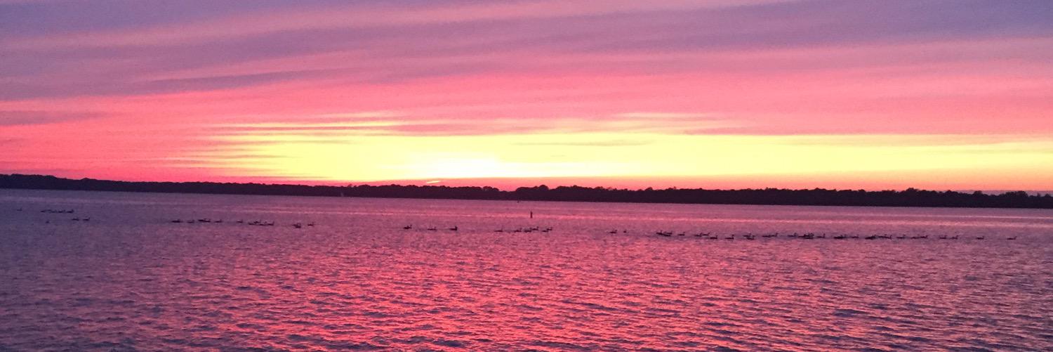 jennifer_robie's profile banner image