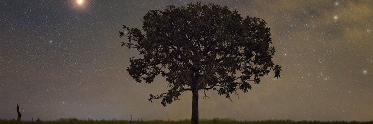 sinemcimen97's profile banner image