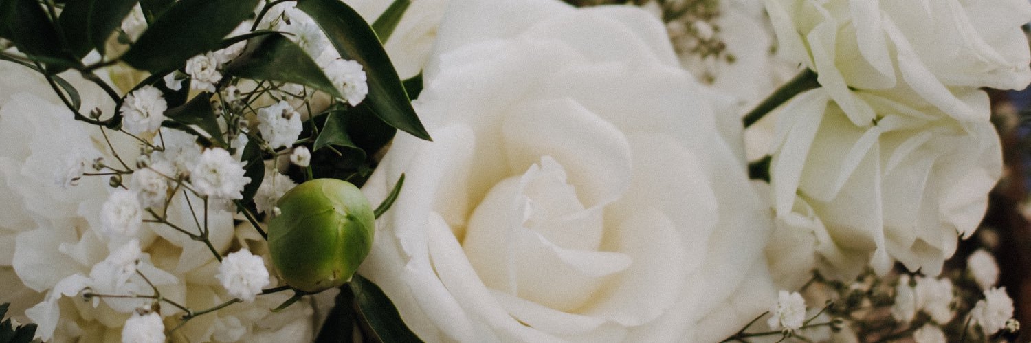 mphpapas's profile banner image