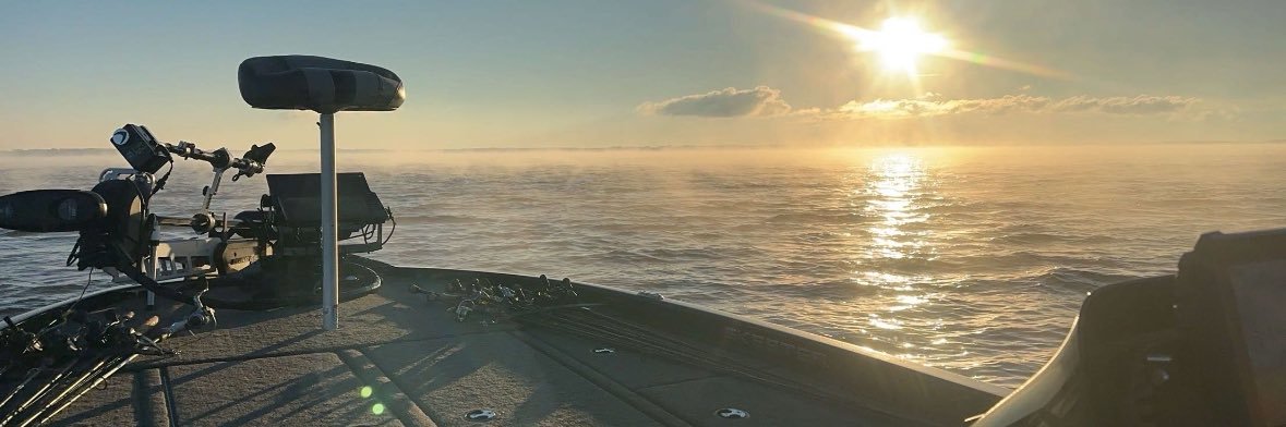 ViFreemaniV's profile banner image