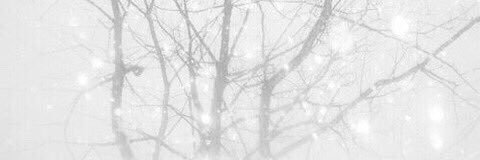 Demi banner