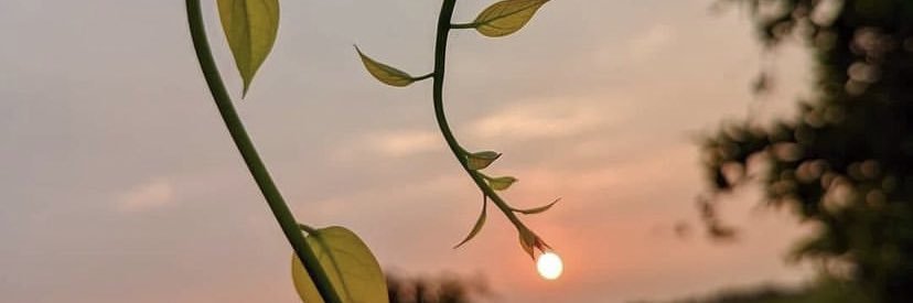 ki_rambi's profile banner image