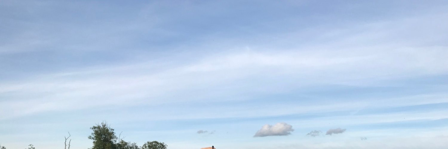 DechanLucy's profile banner image
