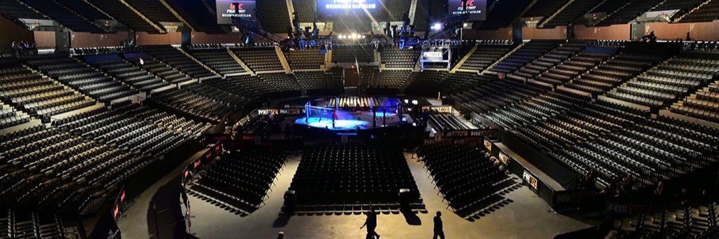 Mike's MMA Picks banner