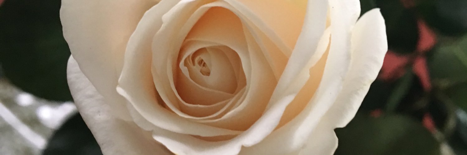 llamaleni's profile banner image