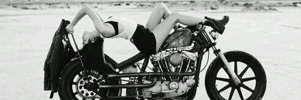 Eleanor Stevens banner