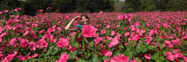 SDuddigan Profile Banner