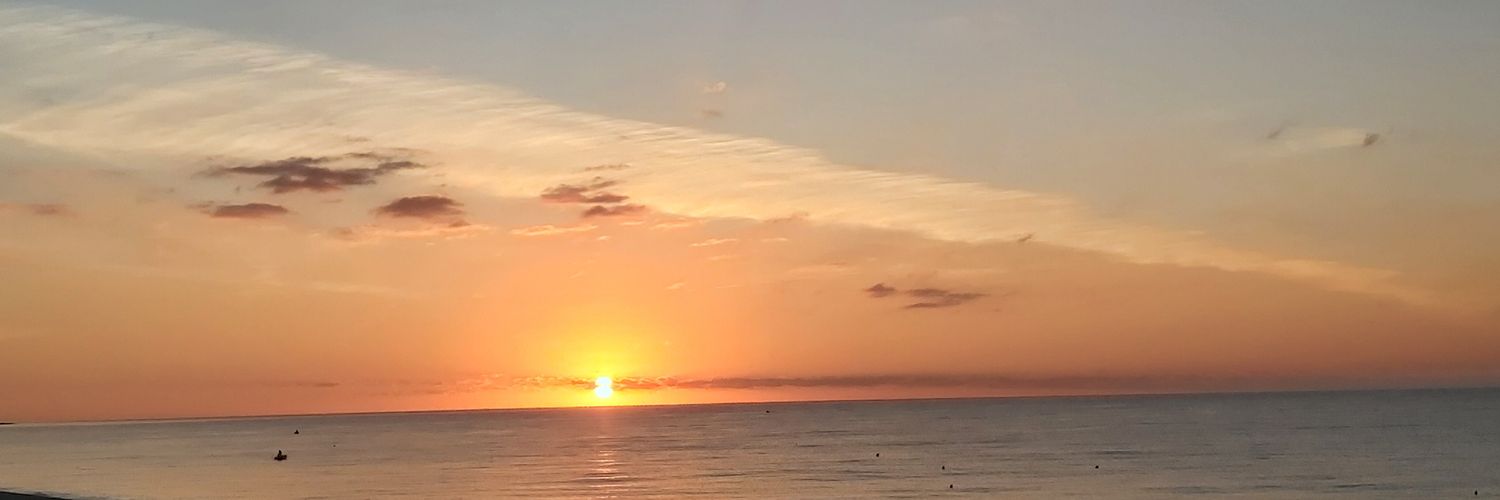 Don Ambroeus  banner