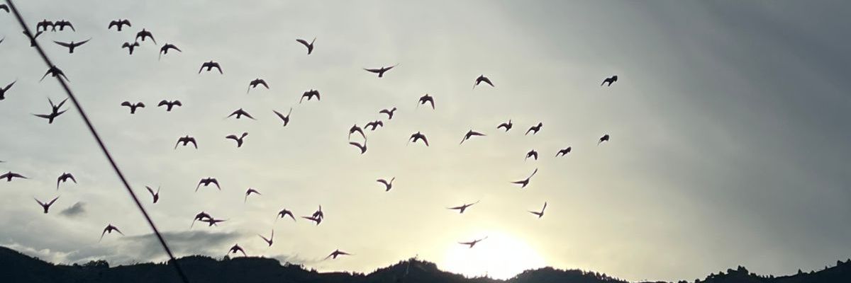 Angel_ram94's profile banner image