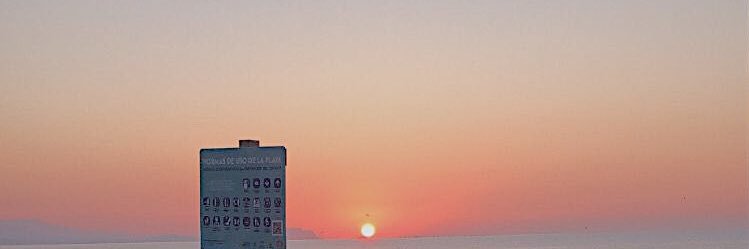 barbi banner