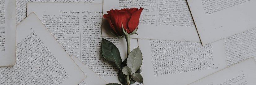 ryleyshucks's profile banner image