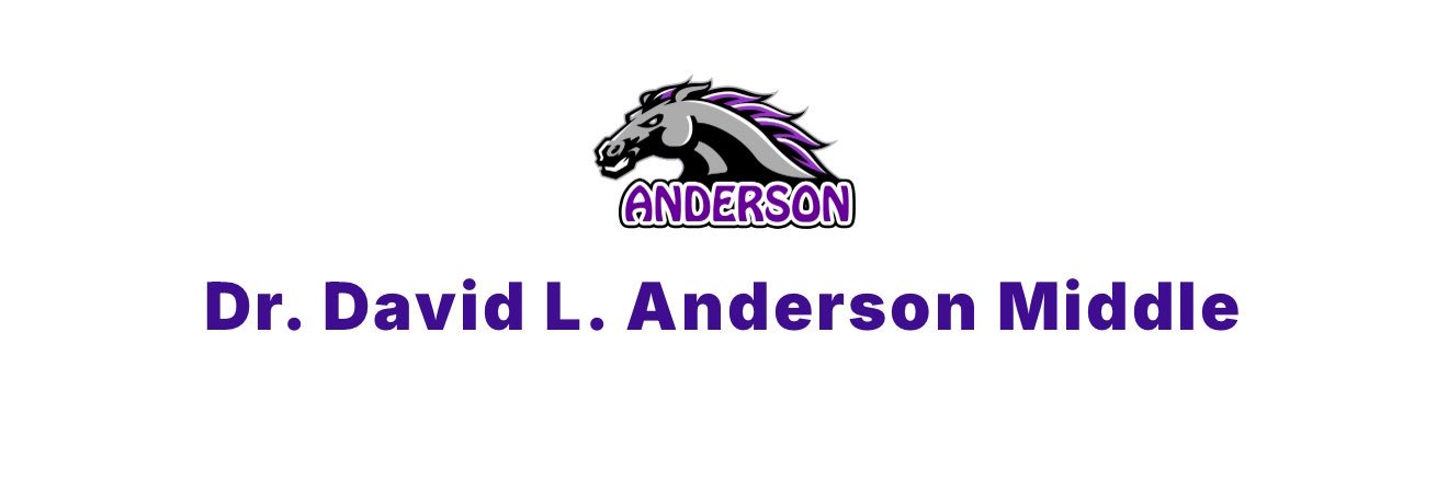 Dana Pallaria banner