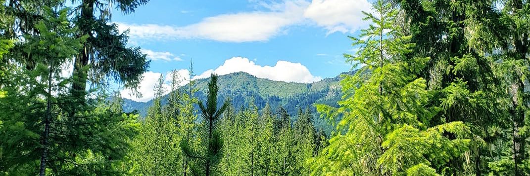 _PNW2's profile banner image