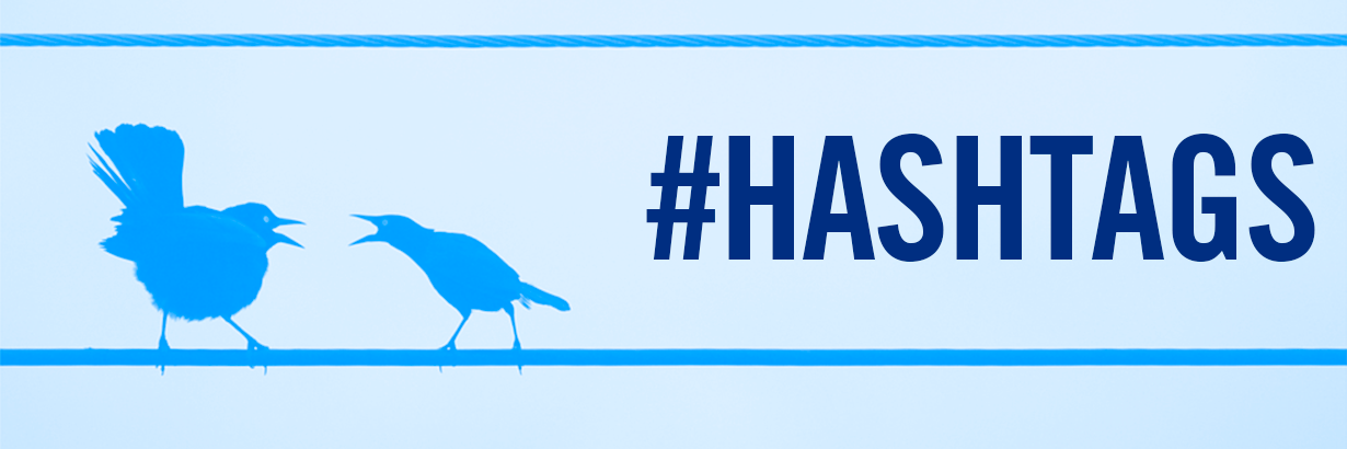 hashtagsonpanel's profile banner image