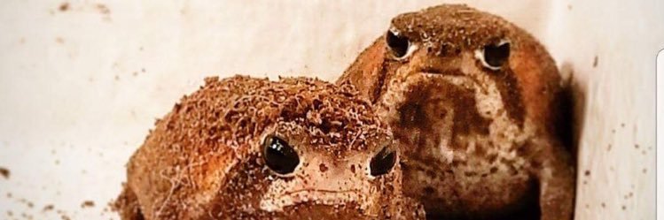 Pesto Kev banner