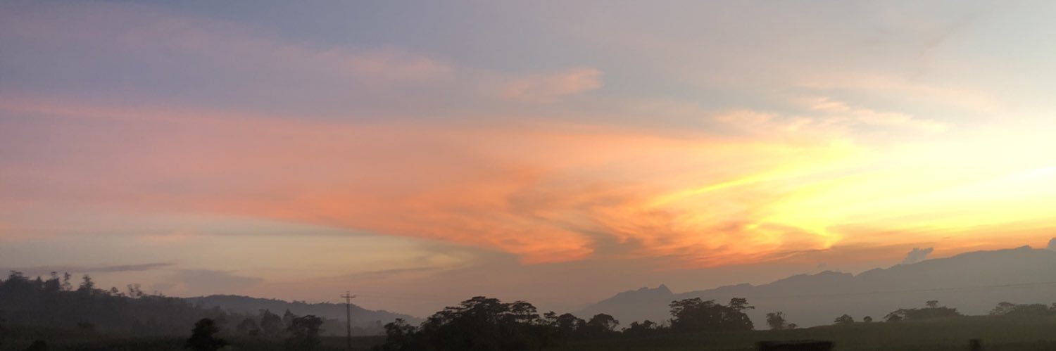 Sandralifer's profile banner image