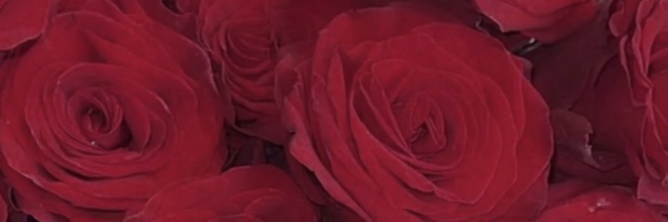 MyLifeAsJadenD's profile banner image