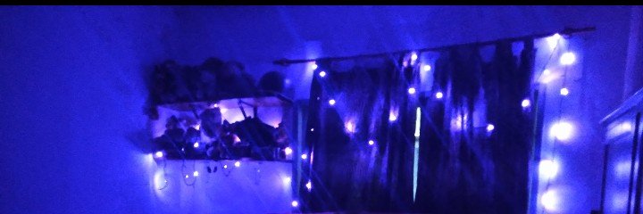 trollfederico17's profile banner image