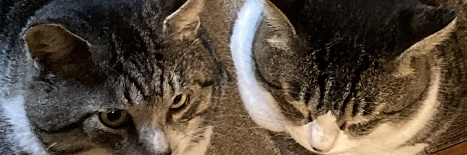 outcross67's profile banner image