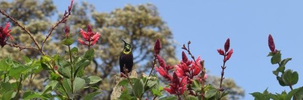 njerigithua_953's profile banner image