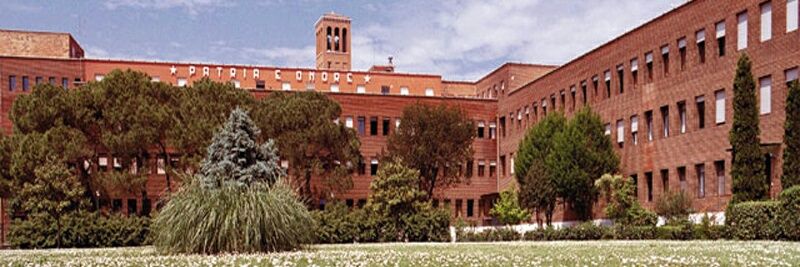 fedeparea's profile banner image
