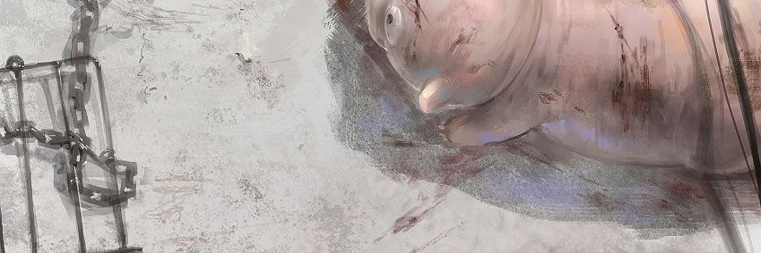 ShineHunting's profile banner image