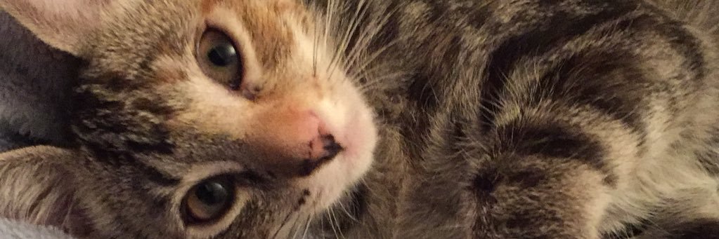 MariLu171's profile banner image